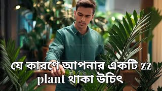 যে কারণে আপনার একটি zz plant থাকা উচিৎ  STOP Killing Your ZZ Plant Without Knowing These Secrets [upl. by Anasor162]