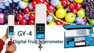 NADE GY4 Lab Portable Digital Fruit Sclerometer Digital Fruit Hardness Tester [upl. by Wilmott]