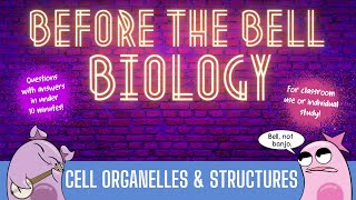 Cell Organelles amp Structures Before the Bell Biology [upl. by Raveaux956]