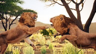 Elder Lion Fights for Survival  Animalia Survival [upl. by Airtemak]