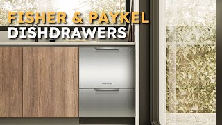 Comparing Fisher amp Paykel DishDrawers Series Features Prices and Reliability [upl. by Swartz]