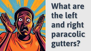 What are the left and right paracolic gutters [upl. by Eelrihs]