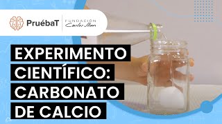 Experimento científico Carbonato de calcio [upl. by Seif665]