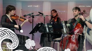 Amazing Brown Thomas Window Display Comes To Life With Members of The Trinity College Orchestra [upl. by Morrison]