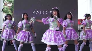 「241117」Kalopsia at Mangga Dua Square Senkou8 [upl. by Abrahan]