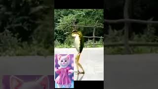 cat amp Frog Dance ai cat cuteanimal funny cutecat cute cutepet cartoon catlover [upl. by Laktasic]