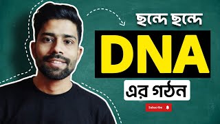 How to draw DNA structure easily  ডিএনএ এর গঠন। Figureschool [upl. by Dorry170]