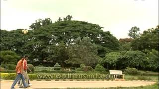 Lalbagh  Nature lovers delight in the heart of Bangalore [upl. by Notlim286]