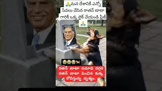 Miss you Ratan Tata sirdog Emotional viral short [upl. by Yddor809]