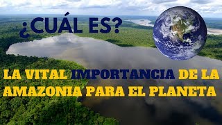 La importancia de la Amazonia para el planeta [upl. by Laforge]