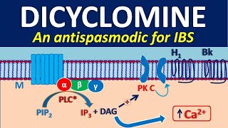 Dicyclomine as antispasmodic [upl. by Inaej995]