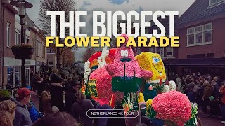 🔴 FLOWER PARADE Netherlands 2024 🌷 BLOEMENCORSO Bollenstreek [upl. by Celle]