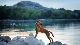 zufusszius Urlaub mit Hund in KROATIEN [upl. by Yclehc736]