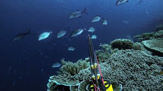 BLUES ON THE SHALLOWS  TREVALLIES SHOTS COMPILATION  SPEARFISHING PHILIPPINES [upl. by Mundt736]