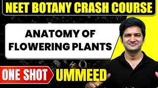 ANATOMY OF FLOWERING PLANTS in 1 Shot All Concepts Tricks amp PYQs  NEET Crash Course  Ummeed [upl. by Andert]