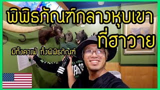 🇺🇸พิชิต Waimea Canyon EP 1  คาเฟ่กับพิพิธภัณฑ์กลางหุบเขาที่ฮาวาย [upl. by Durward788]