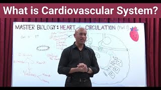 What is Cardiovascular System  Circulatory System  Biology  NEET  GCSE [upl. by Ynitsed]