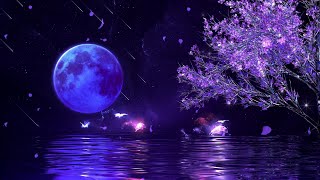 FALL INTO SLEEP INSTANTLY ★︎ Relaxing Music to Reduce Anxiety and Help You Sleep ★︎ Meditation [upl. by Nosdivad200]