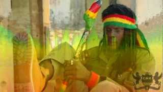 Reggae Mix Roots Roots By Iron Heart Sound amp Chessman Records [upl. by Alleb]