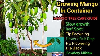 How to Grow Mango Plant and take care  Mango Tree All Deseases and Best Treatments with updates [upl. by Ansaev]