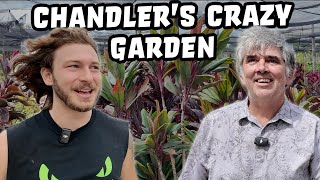 Chandlers Wildlife Crazy Garden Plants [upl. by Call]