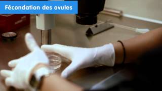 IVI Cliniques de procréation assistée  Fécondation in vitro résultats UE 2014 [upl. by Imerej]