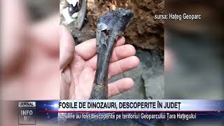 FOSILE DE DINOZAURI DESCOPERITE ÎN JUDEȚ [upl. by Magdala]