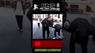 Artes Marciales  Llaves y Apalancamientos [upl. by Azenav251]