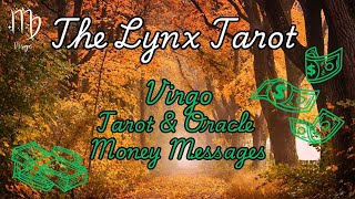 ♍VIRGO💲💼🔮MONEY amp CAREER TAROT amp ORACLE MESSAGES NEXT 30 DAYS TheLynxTarot [upl. by Ezra]