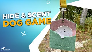 REVIEW Hide amp Scent Game for Dogs [upl. by Eidob899]