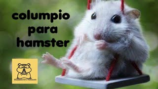 columpio para hamster casero 🐹♥️hamsters hamsters felices [upl. by Isidro]