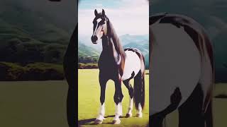 Happy horse animalsvideo animals horse [upl. by Nilrak]