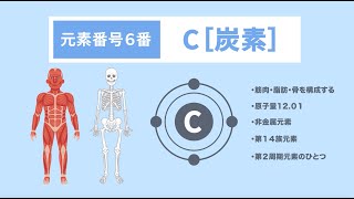 第6話『君は有機物？無機物！？炭素Cバンザイ！』伝説の復活！ [upl. by Nayk]