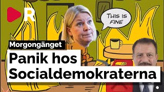 Morgongänget Panik i Socialdemokraterna efter ElHajfiaskot [upl. by Clava]