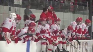 KDLT SPORTS RAW VIDEO3rd Period amp OT Of Luverne vs LitchfieldDasselCokato Section 3A Final [upl. by Akehsar]