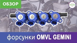 Форсунки ГБО  OMVL GEMINI Краткий обзор [upl. by Curcio]