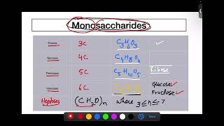 Monosaccharides and Disaccharides [upl. by Yrahca697]