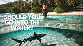 Deadliest Shark Attacks Survivor Stories and Terrifying Encounters [upl. by Licko161]