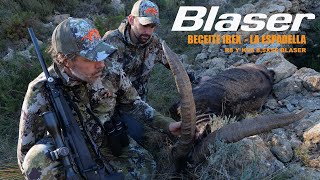 BLASER K95 Y R8  BECEITE IBEX [upl. by Fatima]