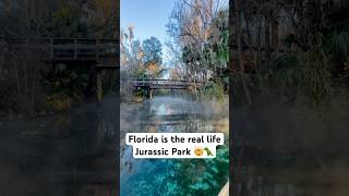 Florida is the real life Jurassic Park 🤯🦖 jurassicpark jurassicworld florida conservation [upl. by Neivad420]