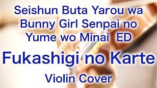 “Fukashigi no Karte” Seishun Buta Yarou wa Bunny Girl Senpai no Yume wo Minai ED Violin Cover [upl. by Greenburg427]