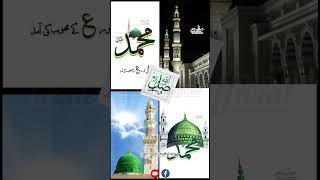 islamabad azaematamofficial islamic naat yamuhammad yanabi milad viral trending naatstatus [upl. by Anma]