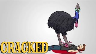 Why the Cassowary Is the Most Terrifying Animal Ever [upl. by Gaddi]