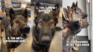 20 Sounds A German Shepherd Makes [upl. by Odey56]