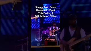 Shaggy feat Beres Hammond  Fight This Feeling  Official Music Video [upl. by Fitton]