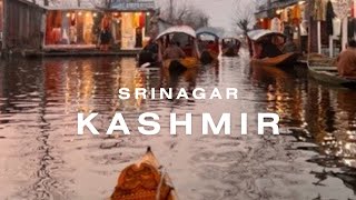 SrinagarKashmir Travel vlog Unusual winter this year but still worth visiting [upl. by Ecraep]