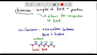 What is chromatin remodeling [upl. by Base]