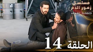 الحلقة 14  مسلسل زهور الدم  مدبلج بالعربية  Kan Çiçekleri [upl. by Tlok]