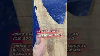 WHITE FIG WOOD WOOD INTRODUCTIONPART10shorts training trending fig wood woodworking skills [upl. by Lareine]