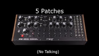 5 Moog DFAM Patches No Talking [upl. by Gardener]